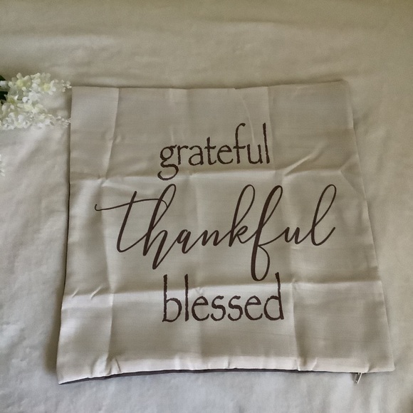 NWOT Cream & Coco Pillow Cover - Picture 8 of 10